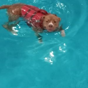 Meet your Posher, Antoine